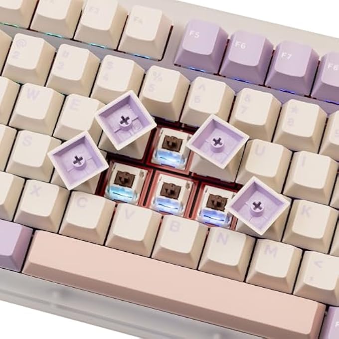 rayihni WOBKEY RAINY 75 ALUMINUM HMX/JWK SWITCHES MECHANICAL KEYBOARD WITH SUPERIOR ACOUSTICS, WIRED, BT, 2.4G WIRELESS CONNECTIVITY(PRO PURPLE(ACRYLIC LIMITED)) - Image 2