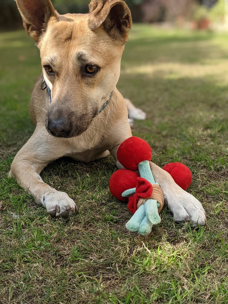 Mutt of Course Bark Bouquet Dog Toy - Image 4