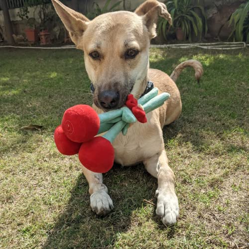 Mutt of Course Bark Bouquet Dog Toy - Image 1