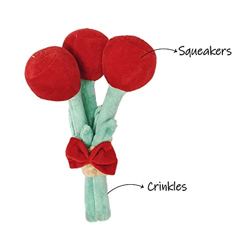 Mutt of Course Bark Bouquet Dog Toy - Image 2