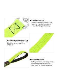 Ultra High Night Visibility USB Rechargeable Flashing Pet Leash Glow in The Night Green Large - pzsku/ZB65A17C7388D9383E3E9Z/45/_/1656683226/8baf9979-4cb9-4f4f-98ec-695b3610e0ac