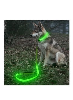 Ultra High Night Visibility USB Rechargeable Flashing Pet Leash Glow in The Night Green Large - pzsku/ZB65A17C7388D9383E3E9Z/45/_/1656683226/ce0b53dd-6678-42fa-a86f-d31c1af28a92