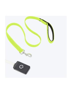 Ultra High Night Visibility USB Rechargeable Flashing Pet Leash Glow in The Night Green Large - pzsku/ZB65A17C7388D9383E3E9Z/45/_/1656683226/dfcaf29d-e996-4074-9f8b-d318df72c702