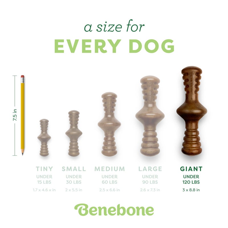 Benebone Zaggler Rolling Dog Chew Toy for Aggressive Chewers, Real Bacon, Made in USA, Giant - Image 4