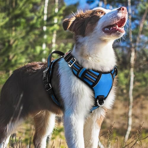 Doggo Bite Premium Reflective Dog Vest Harness| Soft Breathable| Padded Handle| Adjustable Straps & Luxury Buckle| No-Choke with Free Designer Leash-19mm| Chest (13-22 inch) All Small Breeds 4-13 Kg - Image 5