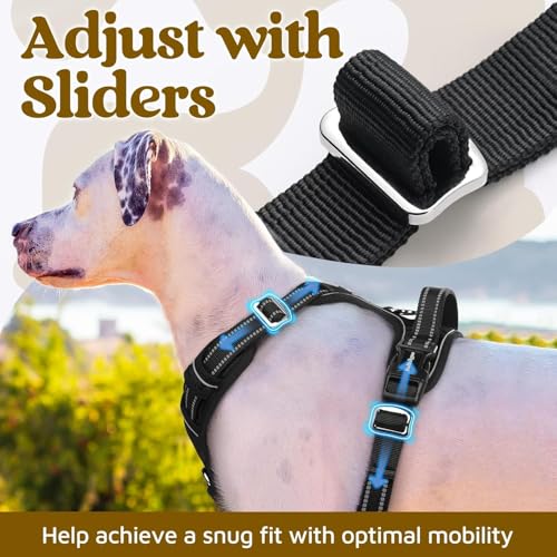 Doggo Bite Premium Reflective Dog Vest Harness| Soft Breathable| Padded Handle| Adjustable Straps & Luxury Buckle| No-Choke with Free Designer Leash-19mm| Chest (13-22 inch) All Small Breeds 4-13 Kg - Image 3