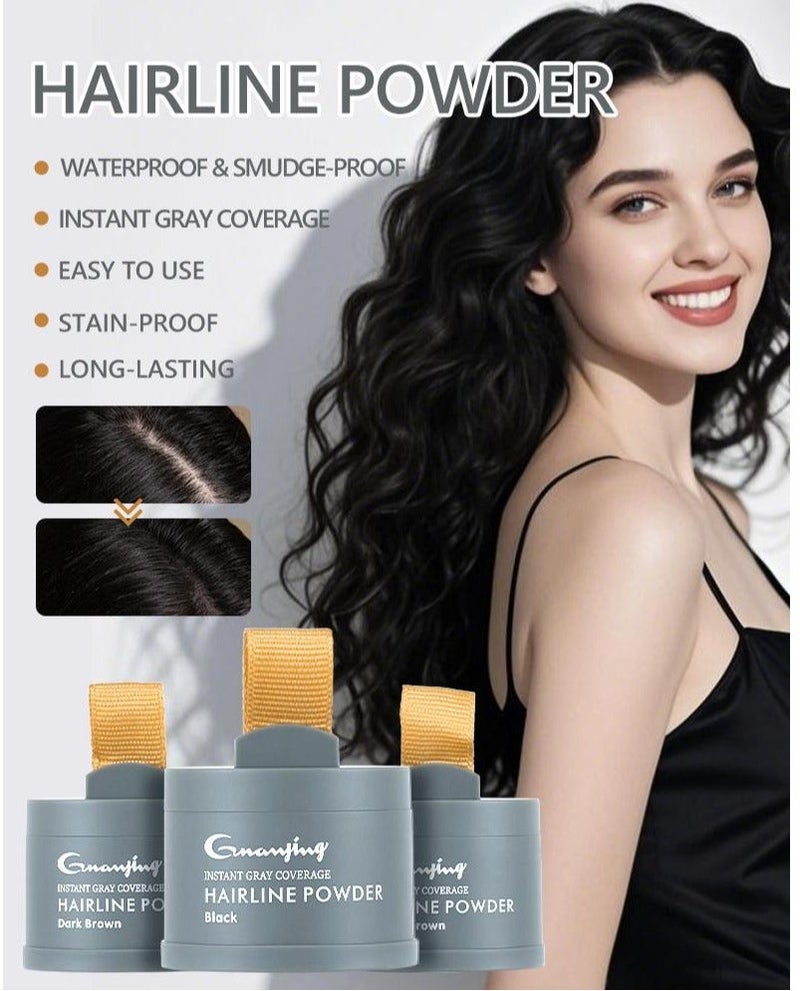 GUANJING Instant Gray Coverage Hairline Powder Black 4gm - Image 2