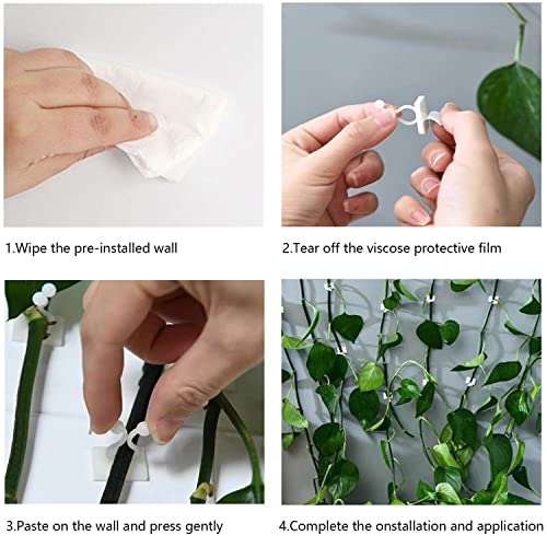 Zibo Plant Climbing Wall Fixture Clips,100Pcs Plant Fixer Self-Adhesive Hook,Garden Vegetable Plant Support Binding Clip Invisible Wall Vines,Fixture Wall Sticky Hook Fixing Clip Vines Holder (B-100 Pcs) - Image 3