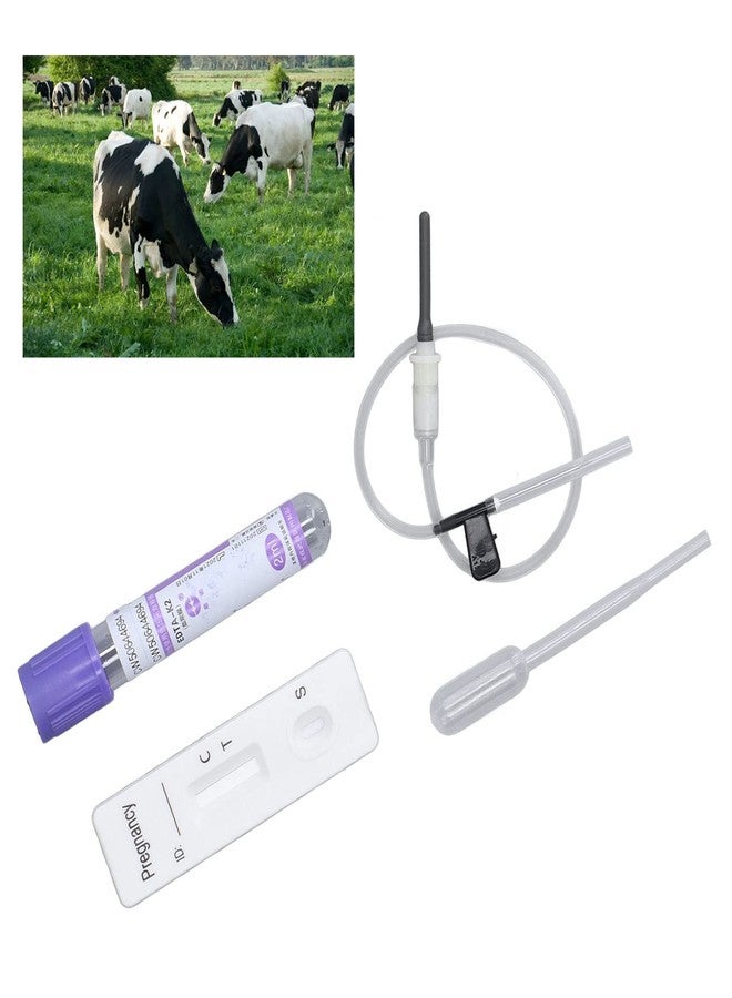 Fdit Cow Pregnancy Test, Bovine Cow Rapid Early Pregnancy Test Kit Pregnancy Test Card Livestock Pregnant Testing for Dairy Cow Livestock - Image 5