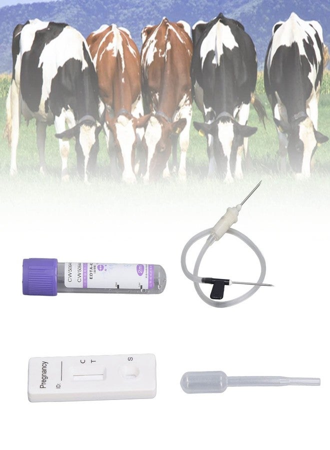 Fdit Cow Pregnancy Test, Bovine Cow Rapid Early Pregnancy Test Kit Pregnancy Test Card Livestock Pregnant Testing for Dairy Cow Livestock - Image 3