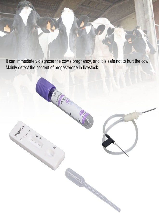 Fdit Cow Pregnancy Test, Bovine Cow Rapid Early Pregnancy Test Kit Pregnancy Test Card Livestock Pregnant Testing for Dairy Cow Livestock - Image 4