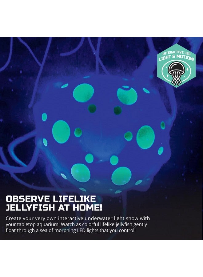 Discovery Kids Discovery #Mindblown Jellyfish Aquarium Color-Morphing Lamp with 15 Light Options and Remote Control, Educational Biology Themed Bedroom Light for Kids & Adults Ages 8 and Up - Image 5