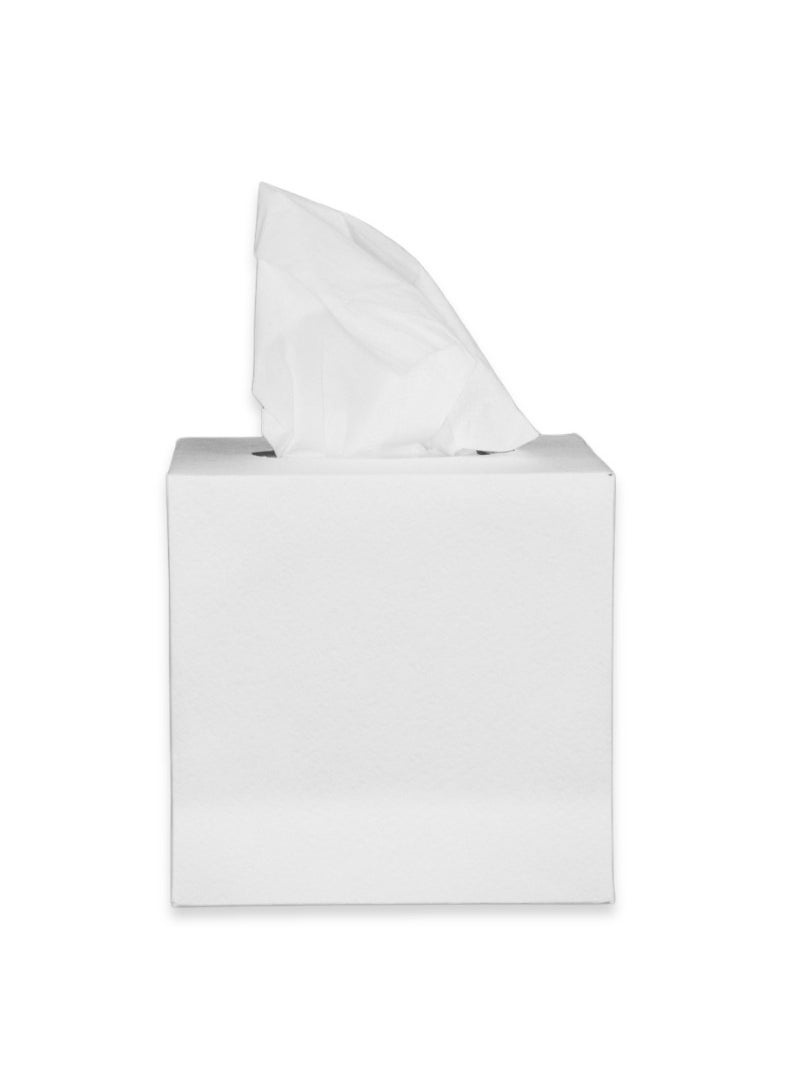 Generic Crystal Premium Facial Boutique Tissue - 100 Sheets (Pack of 48)  - Image 1