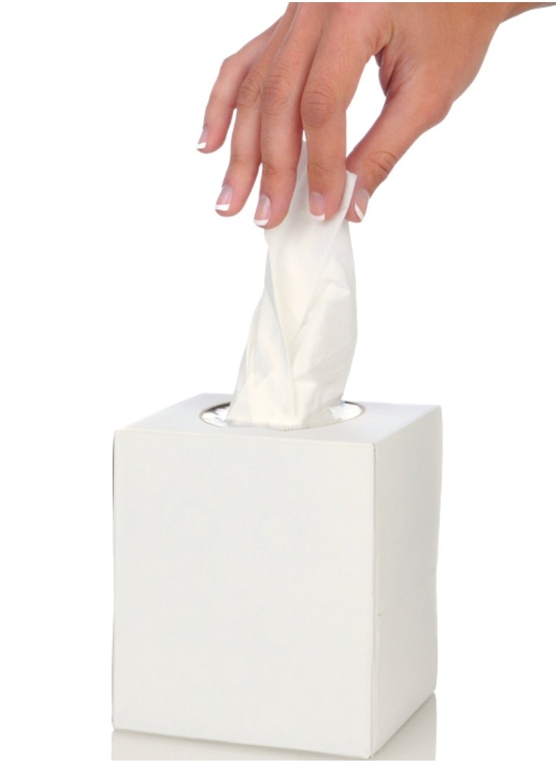 Generic Crystal Premium Facial Boutique Tissue - 100 Sheets (Pack of 48)  - Image 2