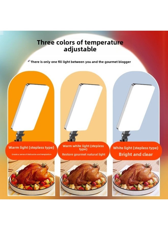 Food Fill Light Led Photography Professional Studio Anchor Desktop Still Life Jewelry Kitchen Dishes Light-Light Source Color: + Floor Stand  - Image 3