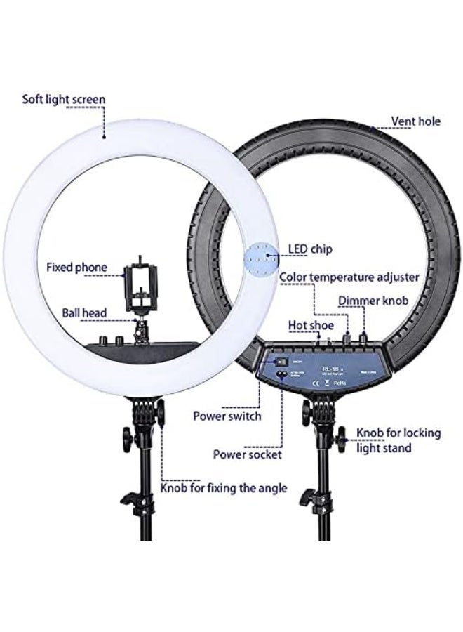 RL-21 LED Ring Light – Soft Light for Photography, Makeup, and Video – Black/White  - Image 3