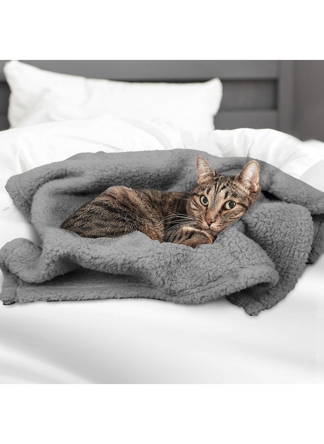 furrybaby furrybaby Dog Blanket Soft Dog Blankets for Small Dogs Puppy Essentials Washable Sherpa Fleece Cat Blanket 24x32 Inches for Bed Furniture Couch Sofa (Small, Grey)  - Image 4