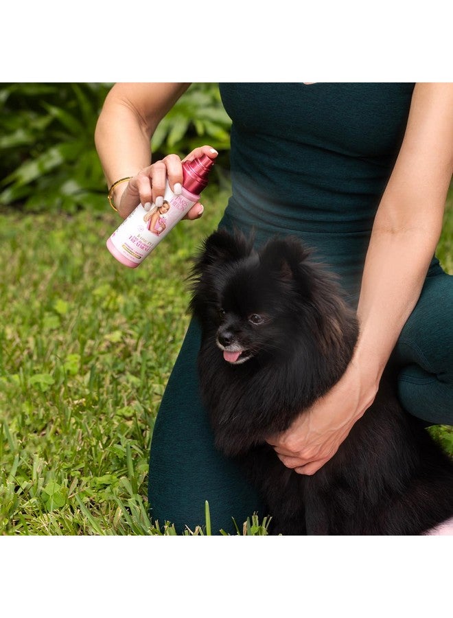 Paris Hilton Paris Hilton Fragrance-Free Dog & Pet Blowout Conditioning Spray - Hypoallergenic, Sulfate-Free Grooming Treatment for Frizz Control, Soft Coats, Detangling & Show Ready Fur Styling 6oz - Image 4