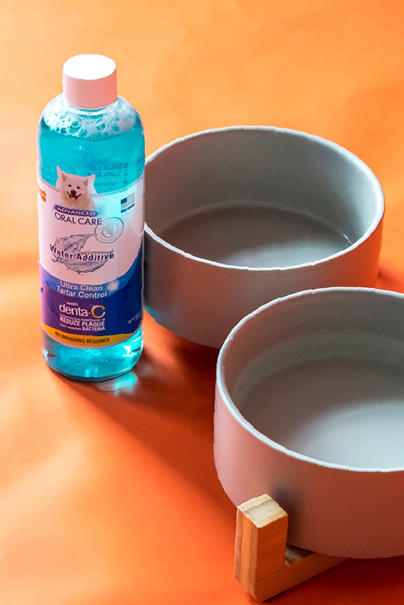 Nylabone Advanced Oral Care Pet Dental Water Additive, Liquid Tartar Remover & Breath Freshener for Dogs, Dog Teeth-Cleaning, Original Flavor, 16 oz. - Image 4