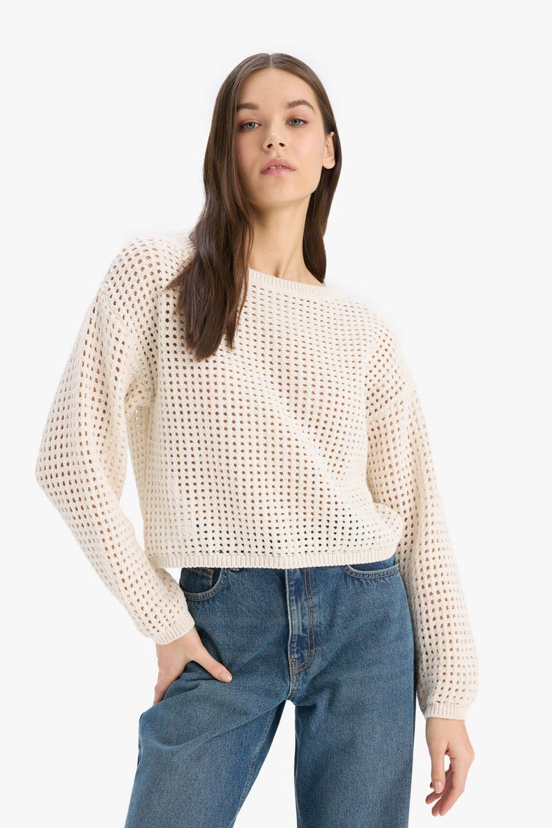 DeFacto Woman Regular Fit Crew Neck Crochet Knitwear Pullover - Image 4
