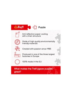 Trefl Trefle Puzzle 1000 Piece- Physical Map of the World  - Image 3