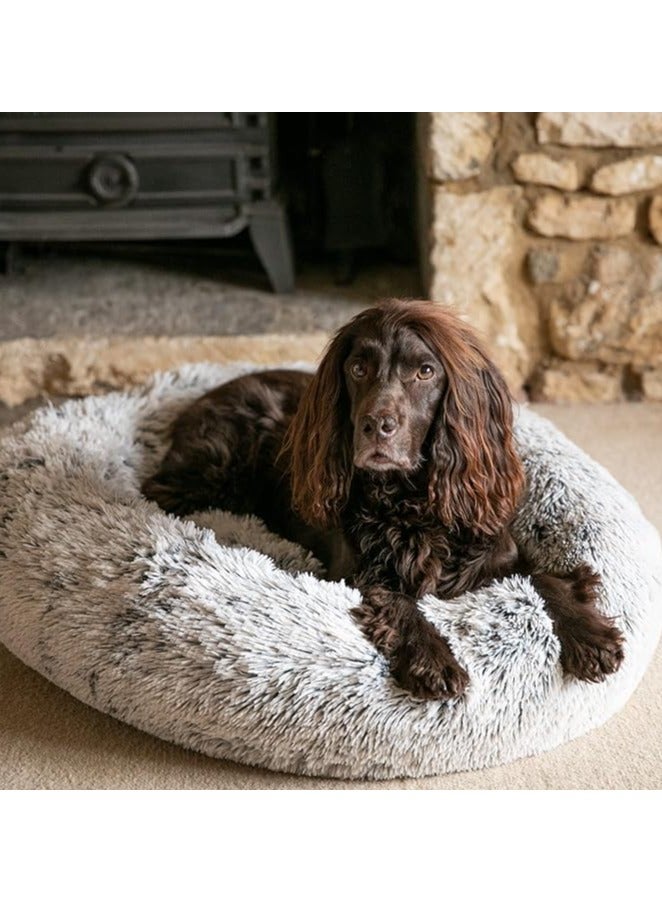 مورو مورو سرير كلاب مخملي تقويمي مع فراء ناعم وقاعدة بلاستيكية - عش مريح وقابل للغسل للحيوانات الأليفة - Image 3