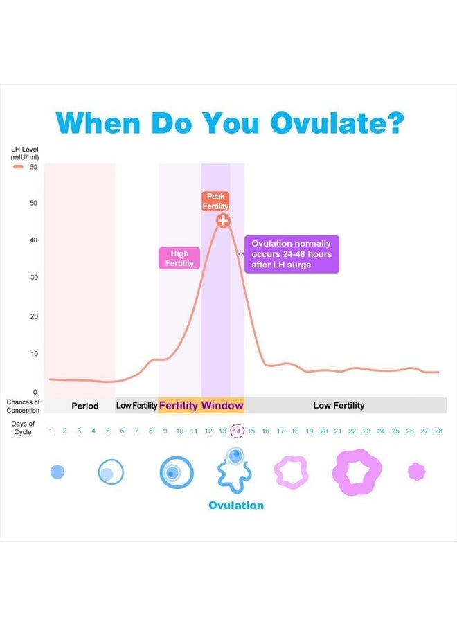 Easy@Home - Ovulation & Pregnancy Test Strips Kit: Easy@Home 100 Ovulation Tests 20 Pregnancy Tests– Powered by Premom Ovulation APP | 100LH + 20HCG - Image 1