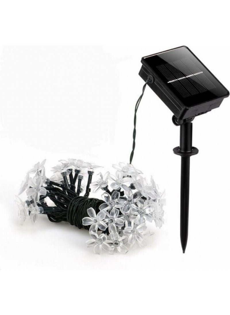 Kutluofficial-Aeron Solar Flowers LED Light Chain 7.7 Meters with 30 LEDs - pzsku/ZB670A6E969984EC3DEE8Z/45/_/1727881905/da60f0a4-1b4f-4a3e-946d-cd4b60aab06f