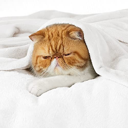 Bedsure GentleSoft Fleece Blankets Queen Size White - Bed Blanket Soft Lightweight Plush Fuzzy Cozy Luxury Microfiber, 90x90 inches - Image 2