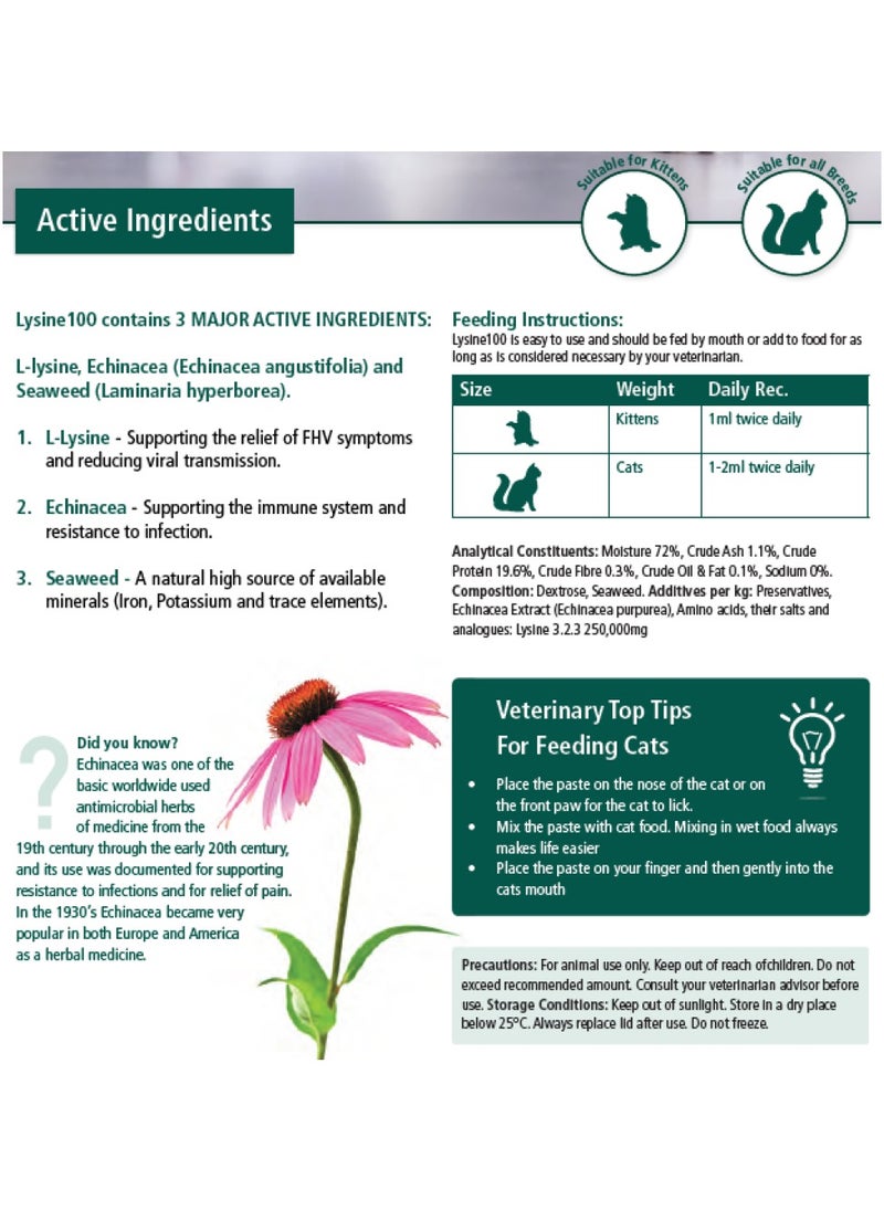 Mervue Mervue Lysine 100 Immune Support Supplement for Cats | Immune Booster & Respiratory Health Aid | Echinacea-Enriched Paste 30ml  - Image 3