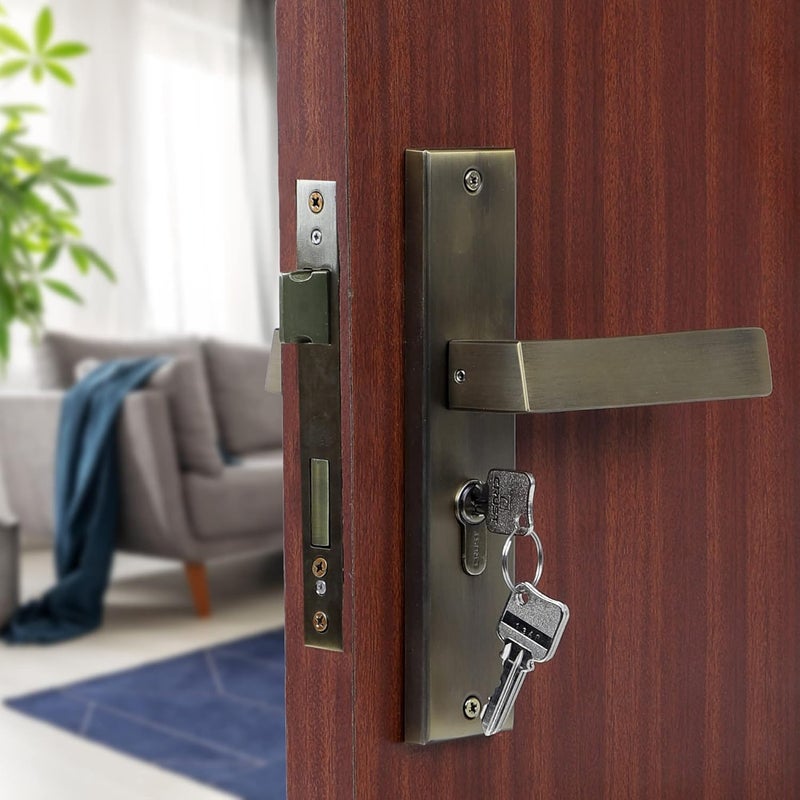 BlueSpace Premium 8" Cylindrical Plate Mortise Door Lock Handle Set/Mortise Lock with Brass Lock Body and One Side Key 60mm Brass Cylinder Set with 3 Brass Computer Keys (LB10003, Antique) - Image 2