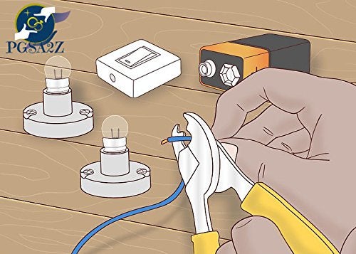 PGSA2Z™ Intro to Parallel Circuits Shows How to Make Parallel Circuit - Image 3