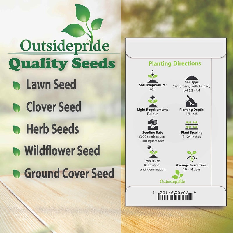 Outsidepride 5000 Seeds Perennial Solidago Stiff Goldenrod Flower Seeds for Planting - Image 5