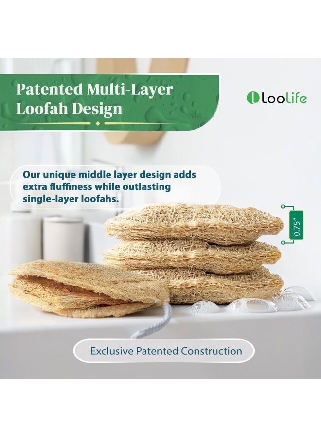 LooLife 100% Natural Loofah Exfoliating Sponge (4Pack) - Loofah Body Scrubber - Loofah Sponge - Organic Loofah - Exfoliating Body Sponge - Biodegradable Loofah - Bath Luffa Sponges - Exfoliating Loofah Pad - Image 3