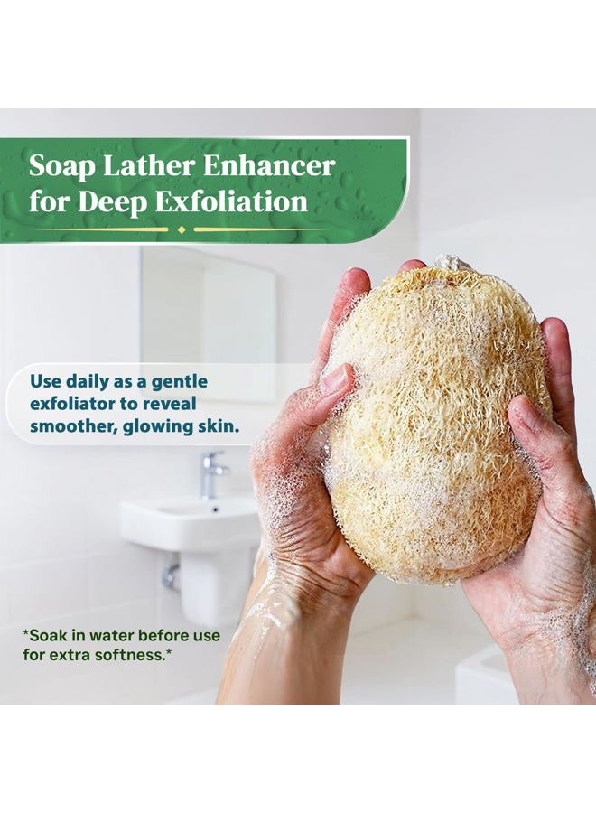 LooLife 100% Natural Loofah Exfoliating Sponge (4Pack) - Loofah Body Scrubber - Loofah Sponge - Organic Loofah - Exfoliating Body Sponge - Biodegradable Loofah - Bath Luffa Sponges - Exfoliating Loofah Pad - Image 4