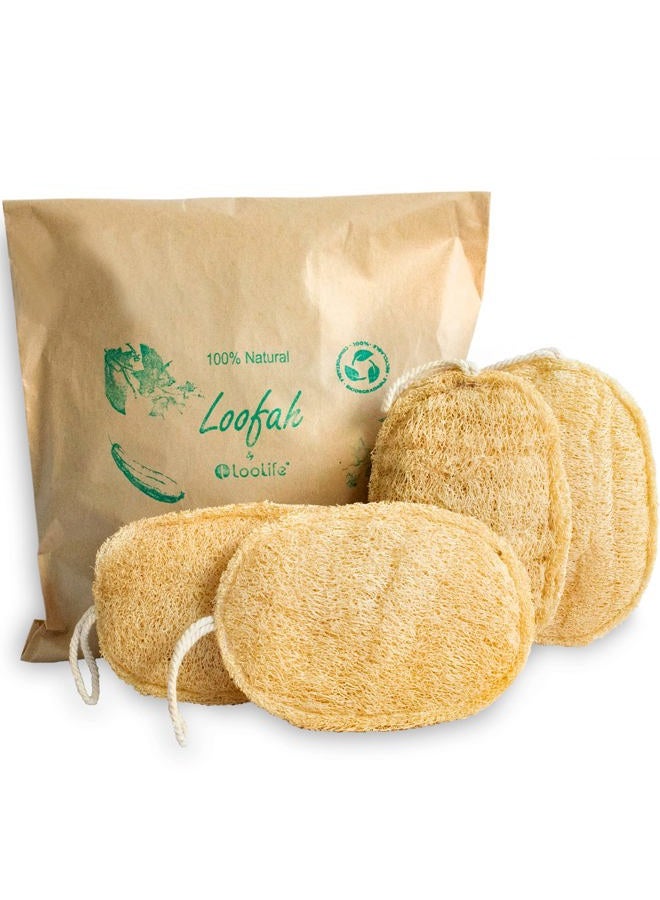 LooLife 100% Natural Loofah Exfoliating Sponge (4Pack) - Loofah Body Scrubber - Loofah Sponge - Organic Loofah - Exfoliating Body Sponge - Biodegradable Loofah - Bath Luffa Sponges - Exfoliating Loofah Pad - Image 1