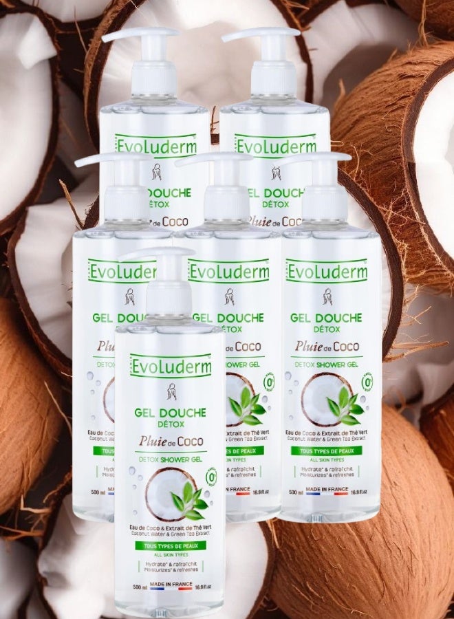 إيفو لوديرم 6 قطع جل الاستحمام إيفولوديرم بلوي دي كوكو ديتوكس 500مل - Image 1