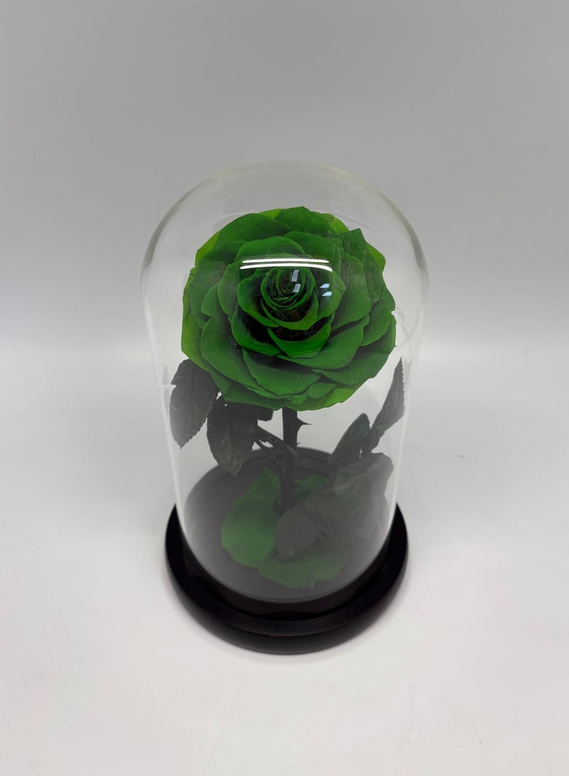 Green Single Forever Rose in Glass Dome – Preserved Single Rose for Lasting Love and Elegance - Image 1