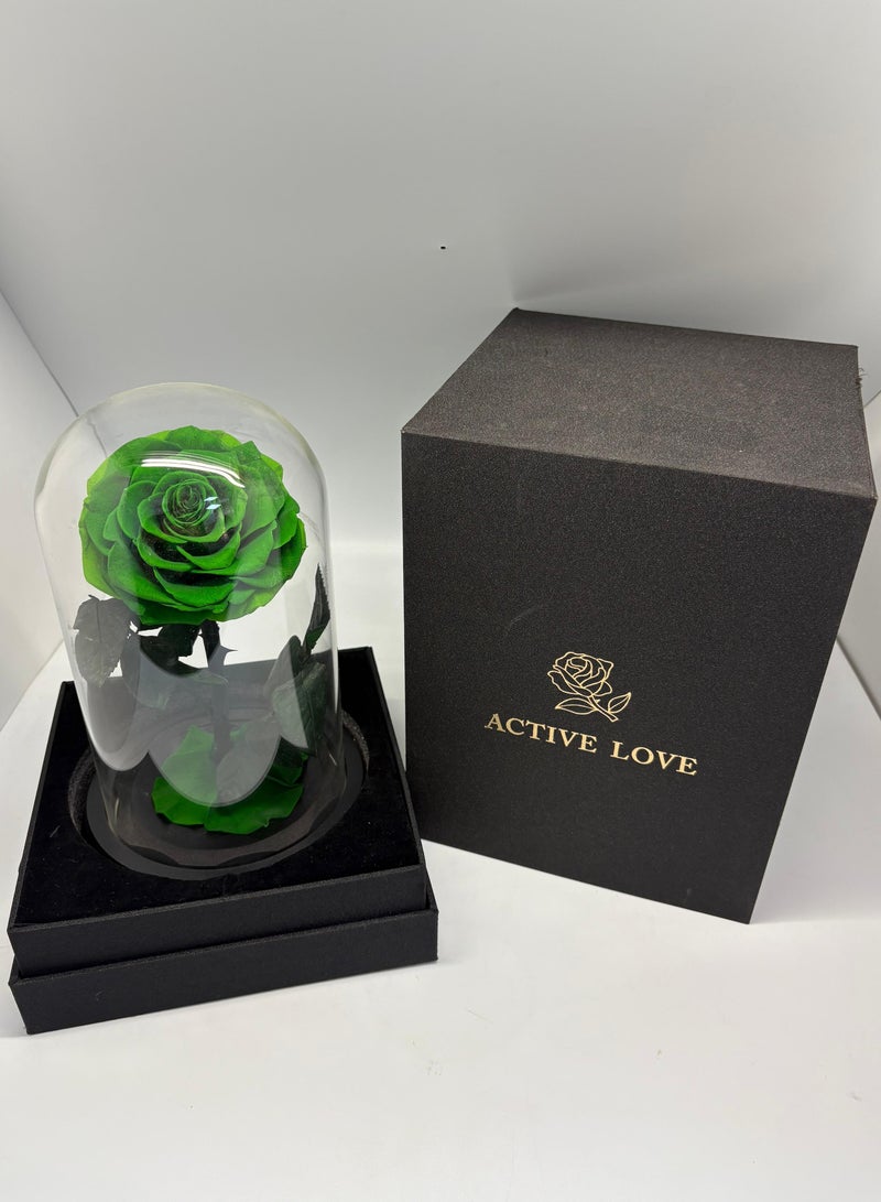Green Single Forever Rose in Glass Dome – Preserved Single Rose for Lasting Love and Elegance - Image 2