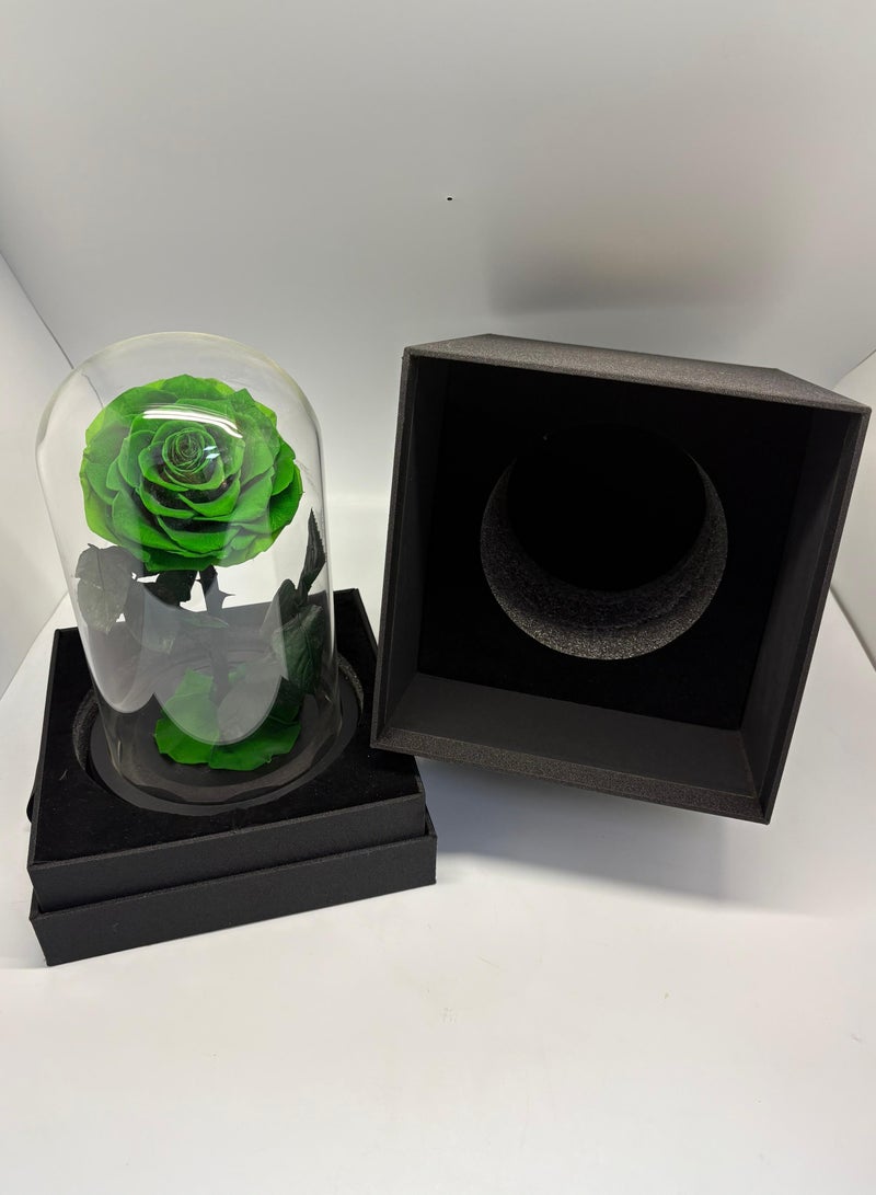 Green Single Forever Rose in Glass Dome – Preserved Single Rose for Lasting Love and Elegance - Image 3