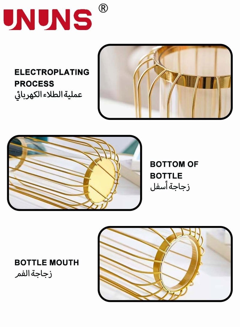 Gold Table Vase,Metal Frame Geometric Vase Test Tube Clear Glass Vase Hydroponic Plants,Bud Vase For Home Desktop Decor,Lantern Vasefor Decor