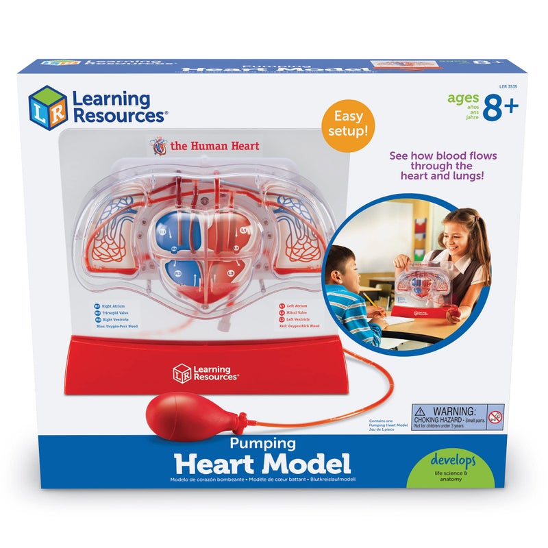 Learning Resources Pumping Heart Model - 1 Piece, Grades 3+ | Ages 8+ Educational Science Kit, Science Education Supplies, Science Teaching Supplies,Back to School Supplies,Teacher Supplies - Image 4