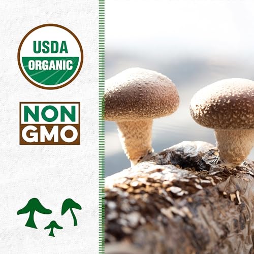 Back to the Roots Organic Shiitake Mushroom Kit; Great Gift; Easy for Beginners, For Indoor Growing (Start Growing Right Away) - Image 3