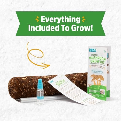 Back to the Roots Organic Shiitake Mushroom Kit; Great Gift; Easy for Beginners, For Indoor Growing (Start Growing Right Away) - Image 2