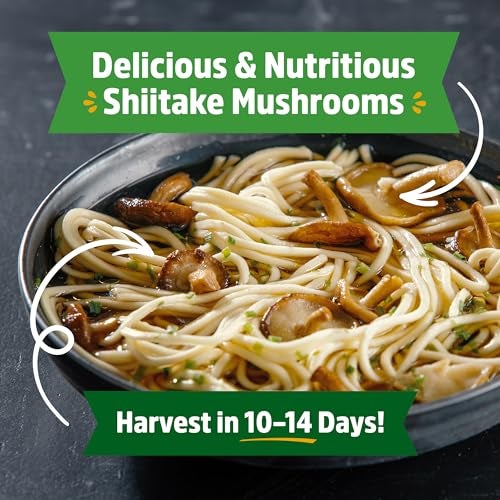 Back to the Roots Organic Shiitake Mushroom Kit; Great Gift; Easy for Beginners, For Indoor Growing (Start Growing Right Away) - Image 5
