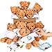 Blueweenly 40 Pcs Make Your Own Stuffed Bear Kit Craft DIY Plush Animal Gift 10 Pcs 984 Inches Rose Velvet Bear 10 White T Shirt 10 Set 12 Color Watercolor Pen 10 Paper CardBrown - Image 2
