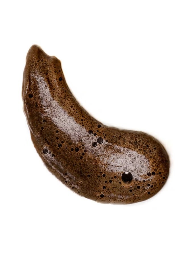 كوكو أند إيف رغوة برونزية من كوكو آند إيف صني هوني بالي - داكن للغاية - Image 2