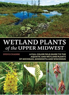 Wetland Plants of the Upper Midwest 