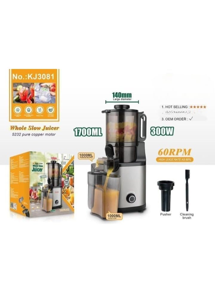 DSP KJ3081 Whole Slow Juicer | DSP Professional Whole Fruit Juicer 300W - Image 2