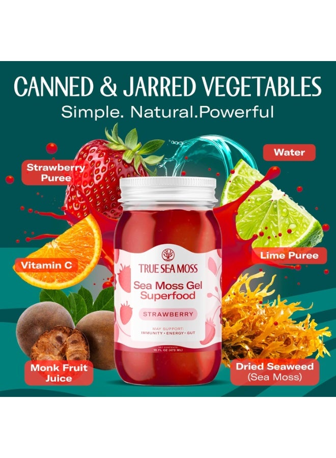 True Sea Moss TrueSeaMoss Sea Moss Gel – Made in USA –  Seamoss, Fresh Fruits & Sea Vegetables – (Strawberry) 473ml  Pack of 1 - Image 2